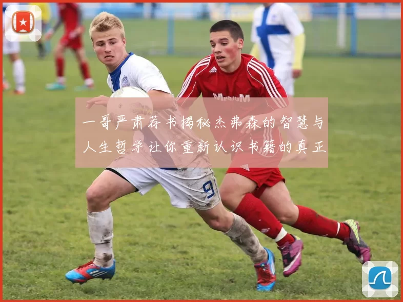 一哥严肃荐书揭秘杰弗森的智慧与人生哲学让你重新认识书籍的真正价值