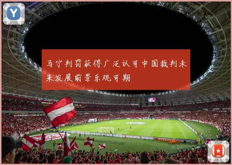 马宁判罚获得广泛认可中国裁判未来发展前景乐观可期